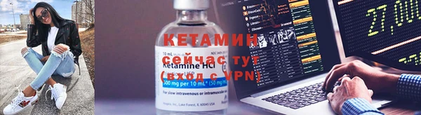 сатива Сатка