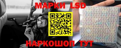 амф Гусев