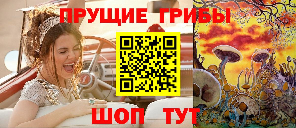 Псилоцибиновые грибы мицелий Фрязино