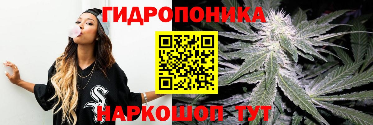 Марихуана конопля Фрязино