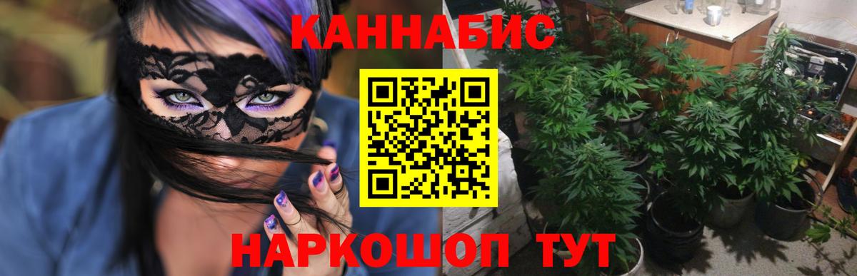 Фрязино  Шишки марихуана ГИДРОПОН  Вход с VPN  МАРИХУАНА THC 21%  Конопля LSD WEED  Каннабис SATIVA & INDICA 